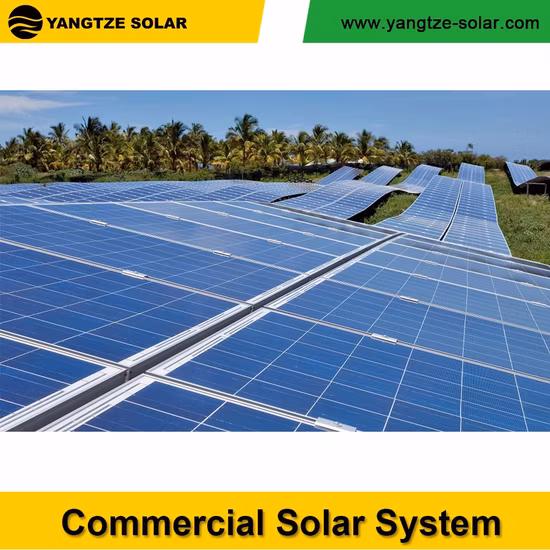 Янцзы Хэфэй Производитель фотоэлектрических солнечных панелей мощностью 1 МВт с солнечным инвертором в сети